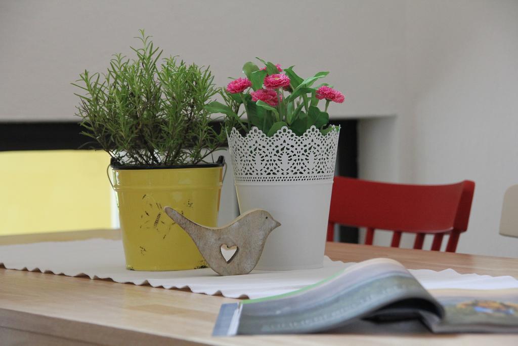 Seelos - Alpine Easy -